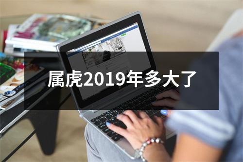 属虎2019年多大了