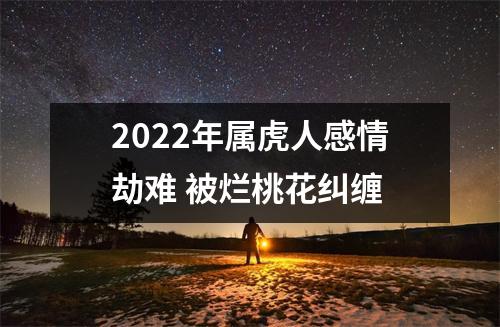 2025年属虎人感情劫难被烂桃花纠缠