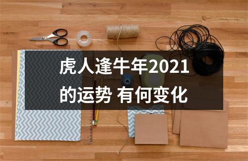 虎人逢牛年2025的运势有何变化