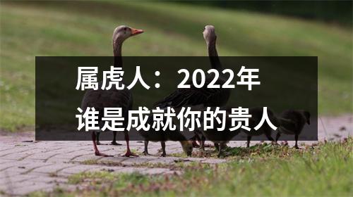 属虎人：2025年谁是成就你的贵人