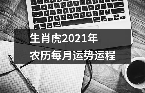 生肖虎2025年农历每月运势运程