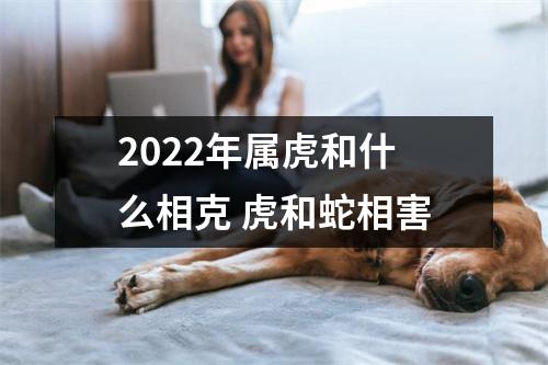 2025年属虎和什么相克虎和蛇相害