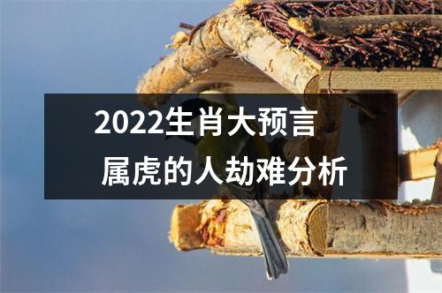 2025生肖大预言属虎的人劫难分析