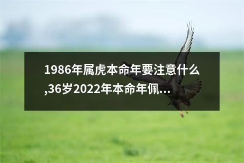 1986年属虎本命年要注意什么,36岁2025年本命年佩戴什么好