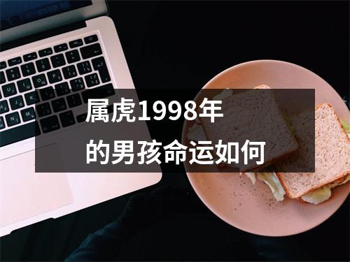 属虎1998年的男孩命运如何