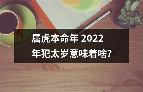 属虎本命年2025年犯太岁意味着啥？