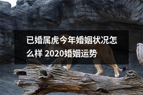 <h3>已婚属虎今年婚姻状况怎么样2025婚姻运势