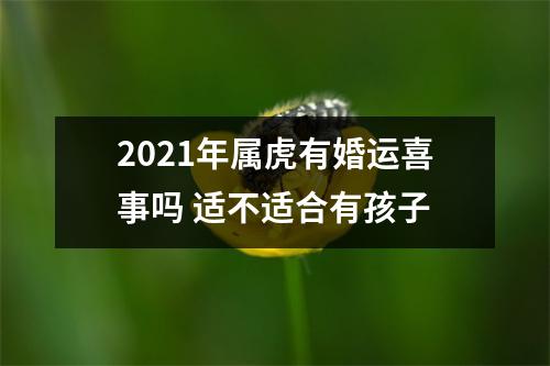 2025年属虎有婚运喜事吗适不适合有孩子