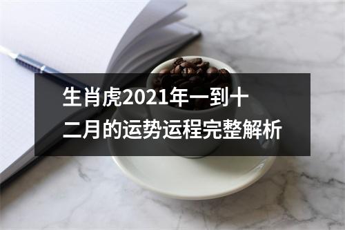 生肖虎2025年一到十二月的运势运程完整解析