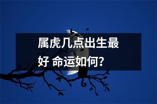 <h3>属虎几点出生好命运如何？