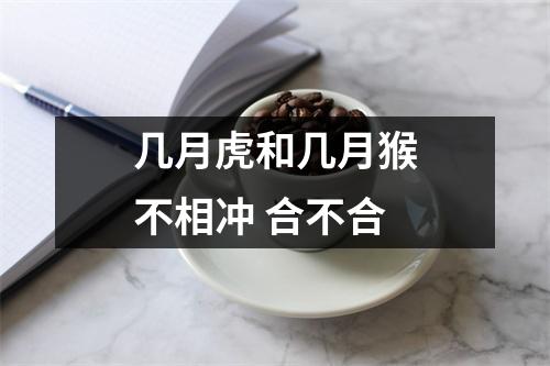 几月虎和几月猴不相冲合不合