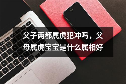 父子两都属虎犯冲吗，父母属虎宝宝是什么属相好