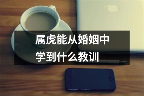 属虎能从婚姻中学到什么教训