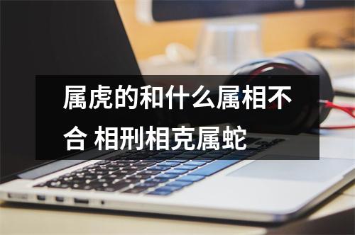 属虎的和什么属相不合相刑相克属蛇