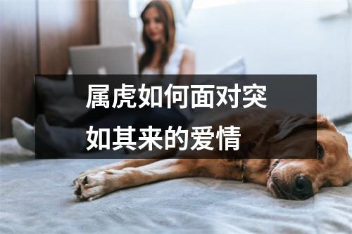 属虎如何面对突如其来的爱情