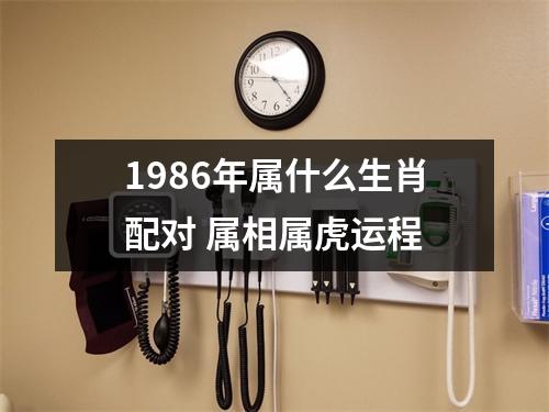 1986年属什么生肖配对属相属虎运程