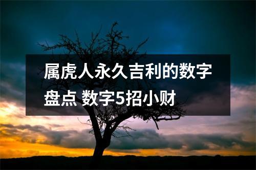 <h3>属虎人永久吉利的数字盘点数字5招小财