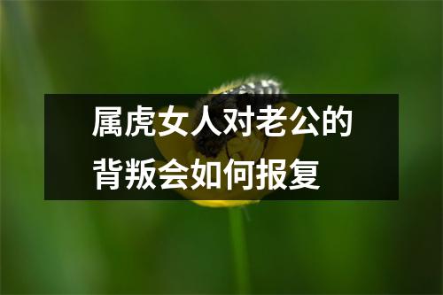 属虎女人对老公的背叛会如何报复