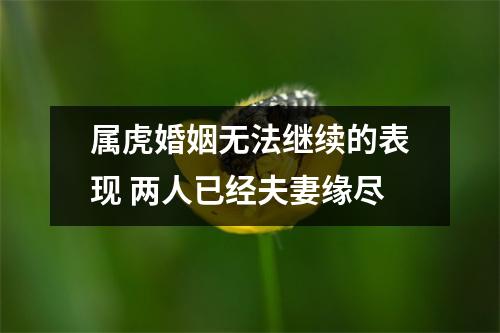 属虎婚姻无法继续的表现两人已经夫妻缘尽