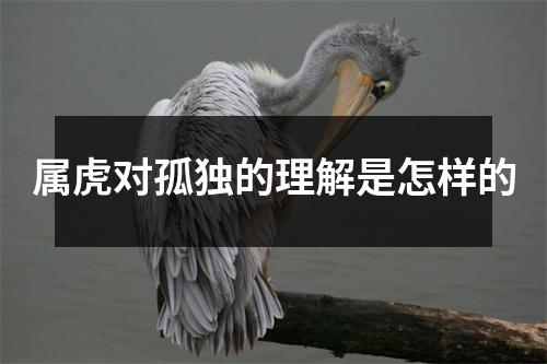 属虎对孤独的理解是怎样的