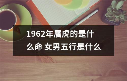 1962年属虎的是什么命女男五行是什么