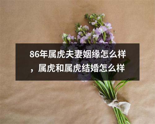 86年属虎夫妻姻缘怎么样，属虎和属虎结婚怎么样