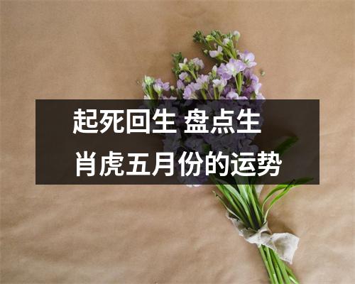 起死回生盘点生肖虎五月份的运势