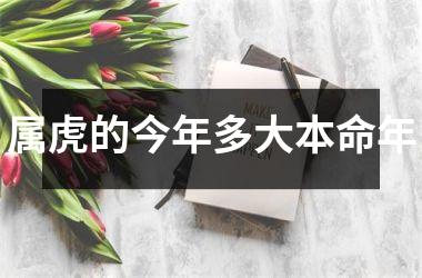 属虎的今年多大本命年