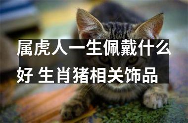 属虎人一生佩戴什么好 生肖猪相关饰品