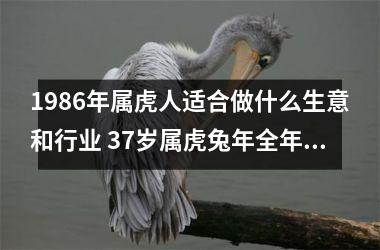 1986年属虎人适合做什么生意和行业 37岁属虎兔年全年运势