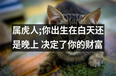 属虎人;你出生在白天还是晚上 决定了你的财富