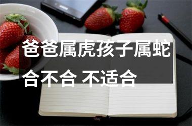 爸爸属虎孩子属蛇合不合 不适合