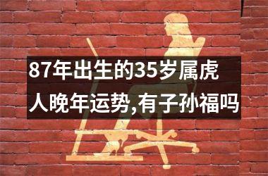 87年出生的35岁属虎人晚年运势,有子孙福吗