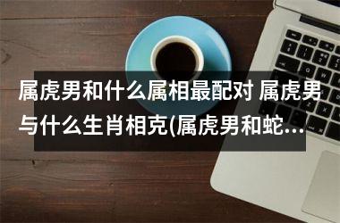 属虎男和什么属相配对 属虎男与什么生肖相克(属虎男和蛇女属相合不合)