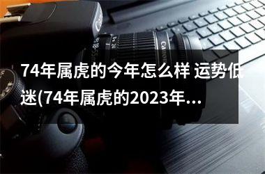 74年属虎的今年怎么样 运势低迷(74年属虎的2025年运势)