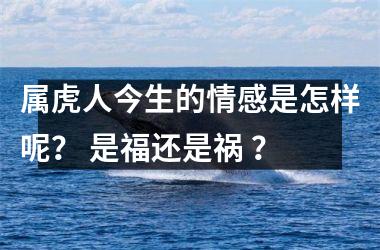 属虎人今生的情感是怎样呢？ 是福还是祸 ？