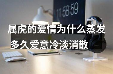 属虎的爱情为什么蒸发 多久爱意冷淡消散