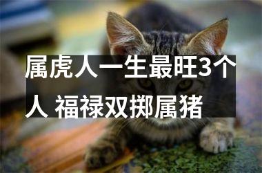 属虎人一生旺3个人 福禄双掷属猪