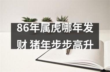 <h3>86年属虎哪年发财 猪年步步高升