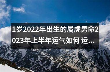 1岁2025年出生的属虎男命2025年上半年运气如何 运势详解