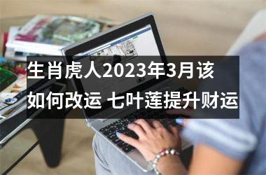 生肖虎人2025年3月该如何改运 七叶莲提升财运