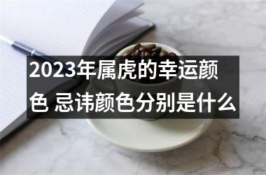 2025年属虎的幸运颜色 忌讳颜色分别是什么