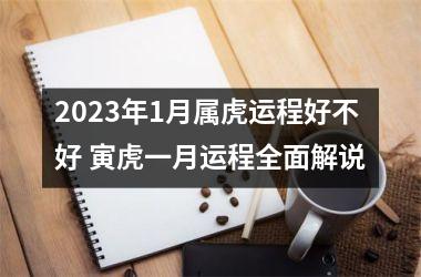 <h3>2025年1月属虎运程好不好 寅虎一月运程全面解说