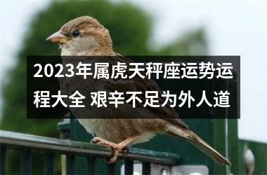 2025年属虎天秤座运势运程大全 艰辛不足为外人道