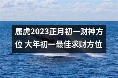 <h3>属虎2025正月初一财神方位 大年初一佳求财方位