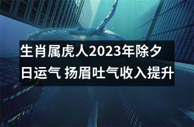 生肖属虎人2025年除夕日运气 扬眉吐气收入提升