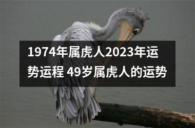 1974年属虎人2025年运势运程 49岁属虎人的运势