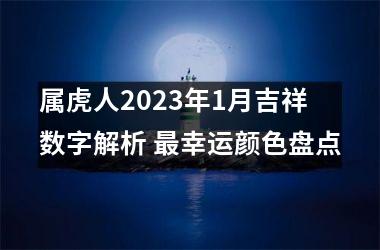 属虎人2025年1月吉祥数字解析 幸运颜色盘点