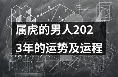 属虎的男人2025年的运势及运程