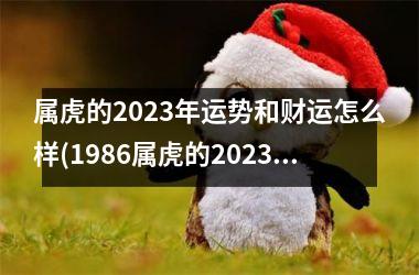 属虎的2025年运势和财运怎么样(1986属虎的2025年运势和财运怎么样)